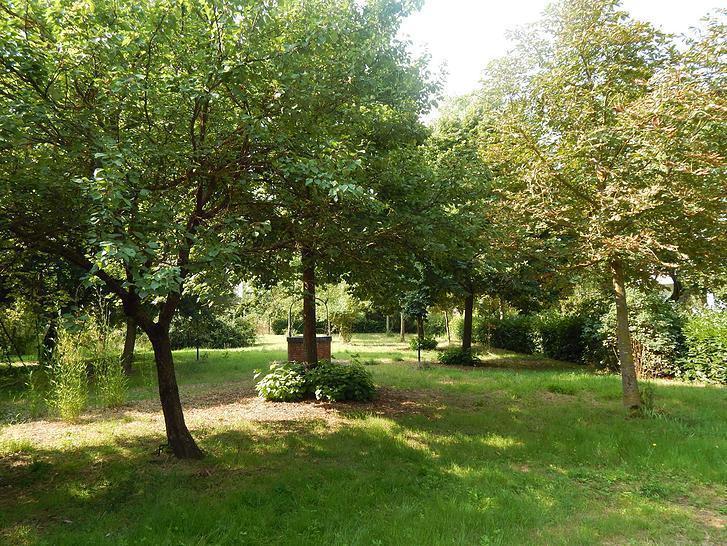 La Civetta Apartment Torrita di Siena Luaran gambar